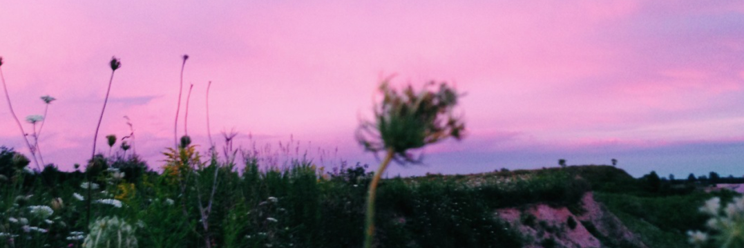 PVSYCHE's profile banner image