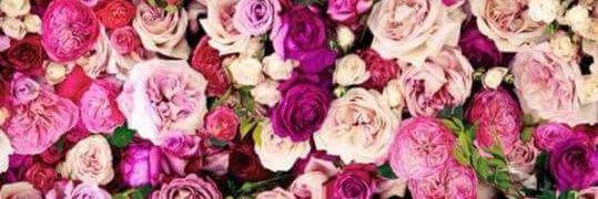 Lucilovelove's profile banner image