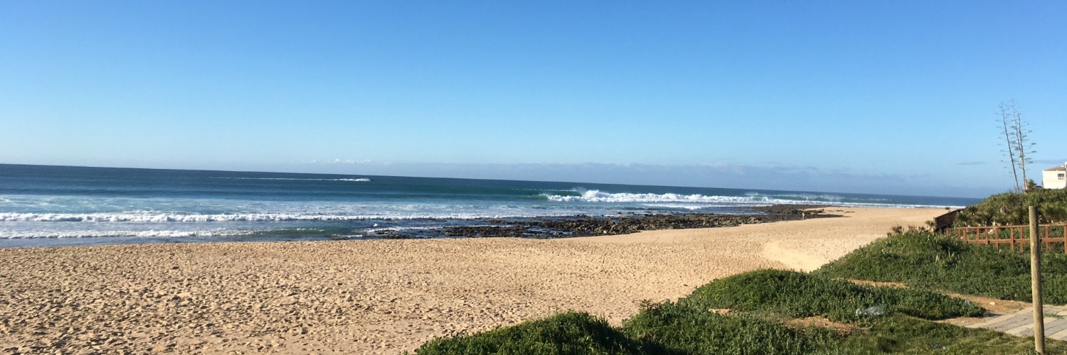 Dr Colleen Jackson banner