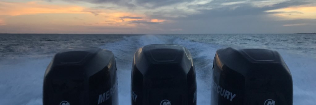 ashnv8's profile banner image