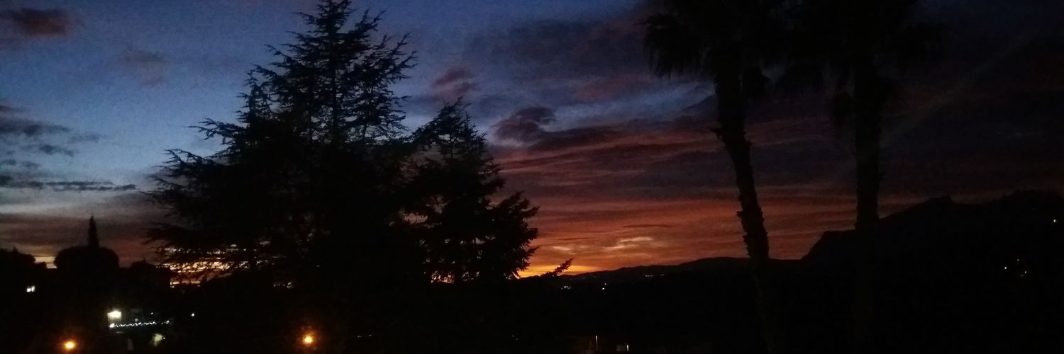 Núria Isern 🌻 banner