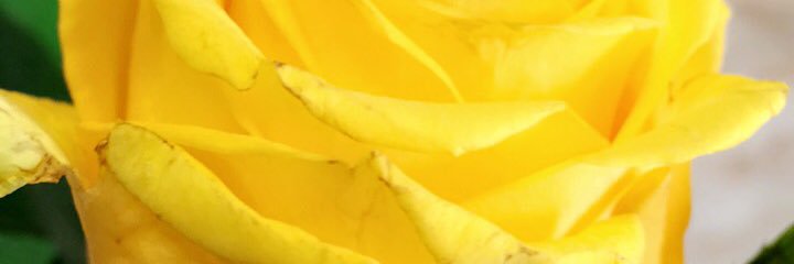 Smoamar96's profile banner image