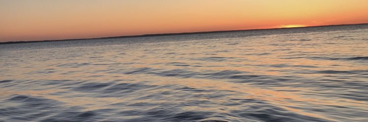 emma_gene_'s profile banner image