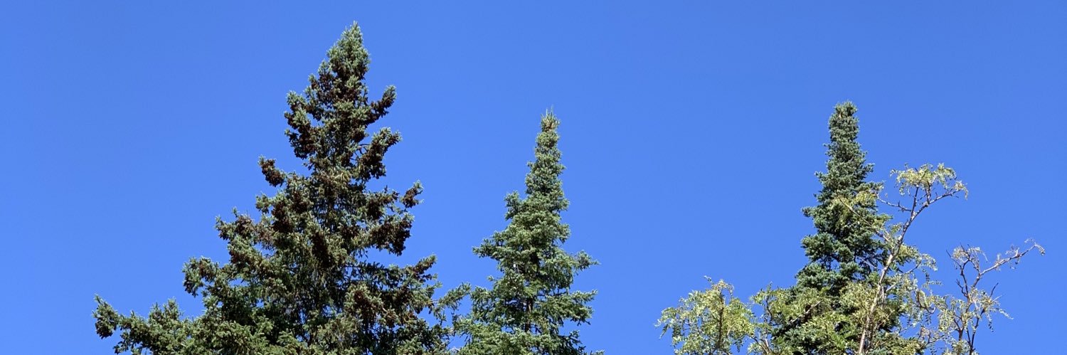 caittwix's profile banner image