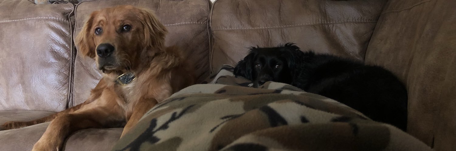 Timmy Carruth banner