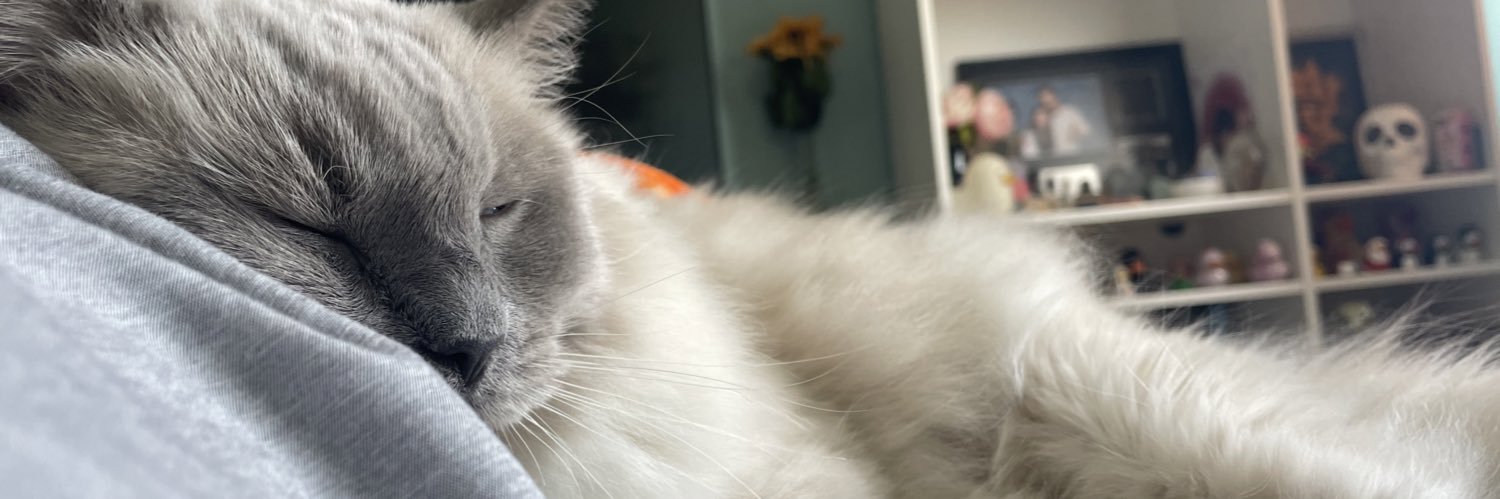 cat_tofield's profile banner image