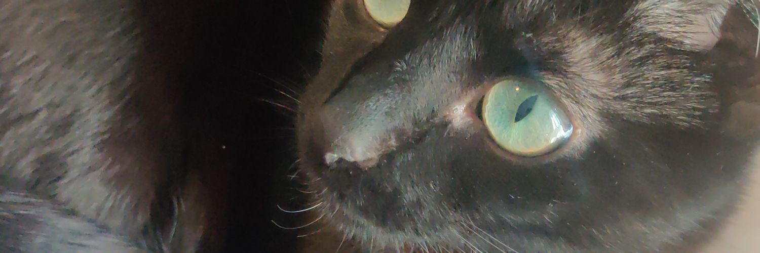 weitory's profile banner image