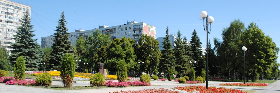 Promadm.samara banner