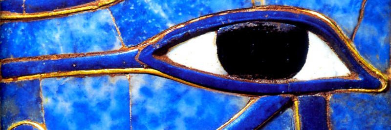 Animainviola's profile banner image