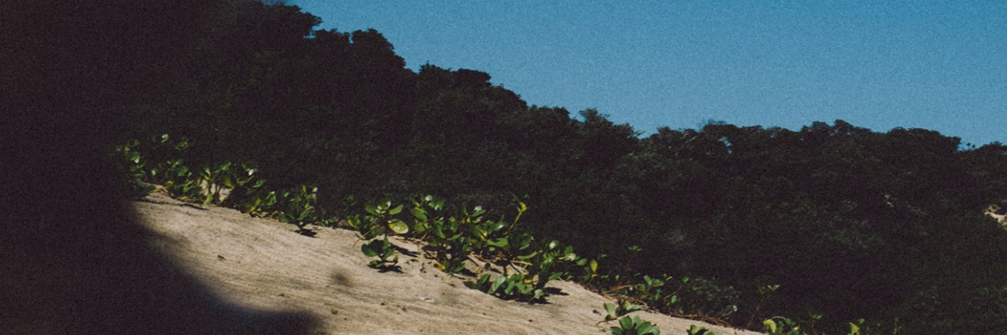 doktorVau's profile banner image