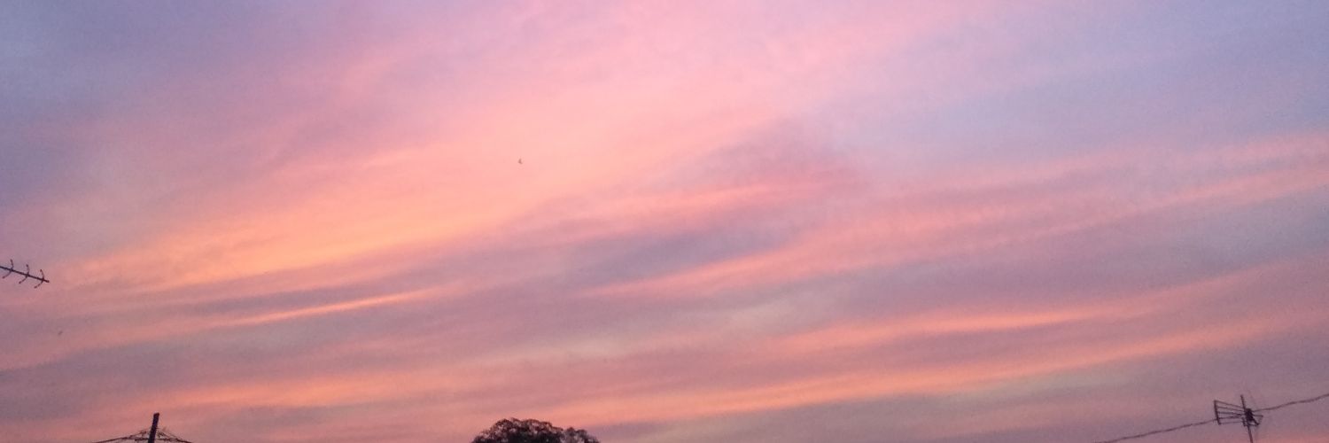 sarahmtd's profile banner image
