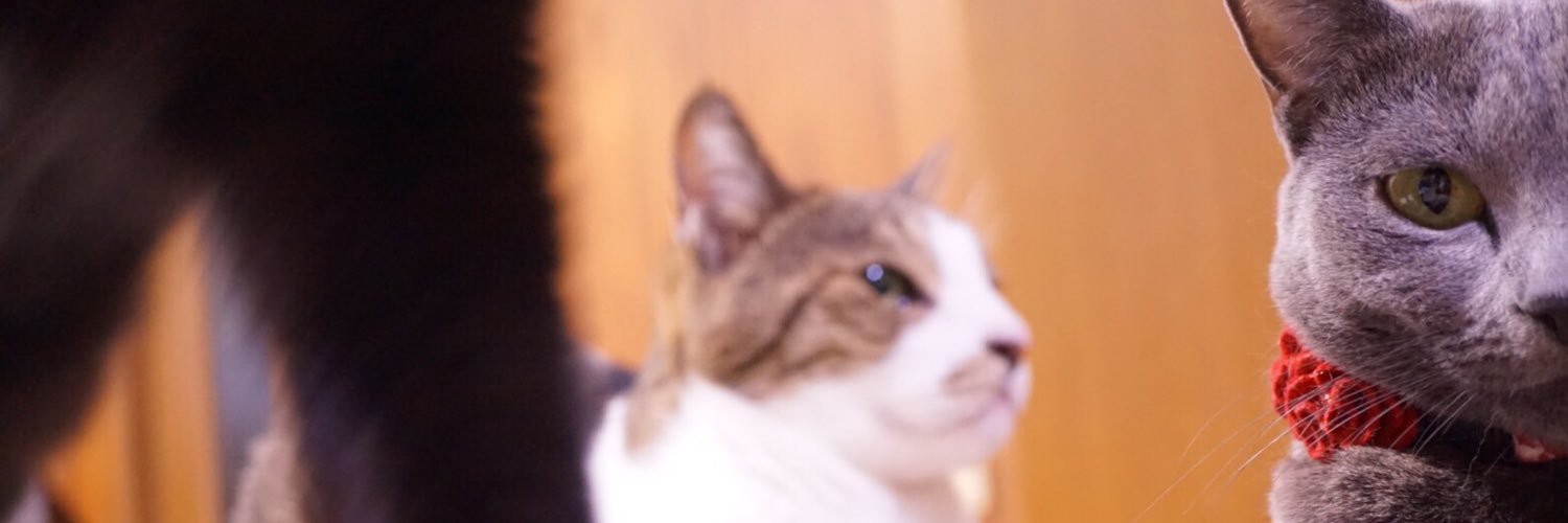 _samekichi27_'s profile banner image