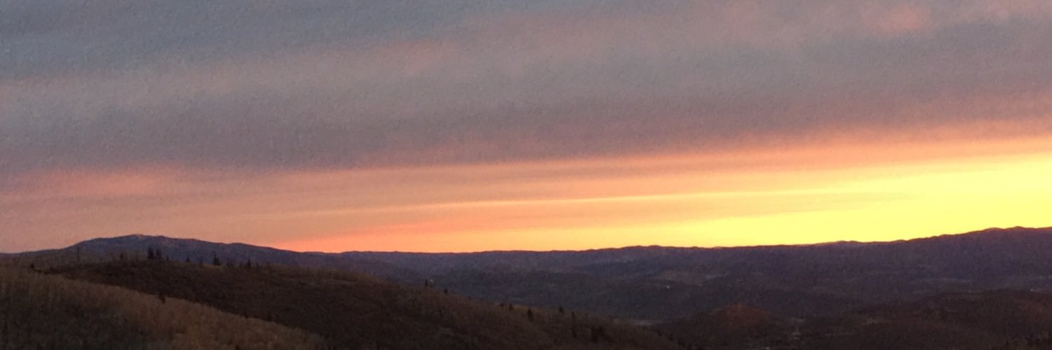 Priscilla Ramseur banner