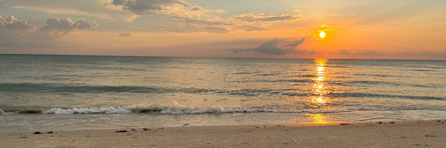 meredithconte's profile banner image
