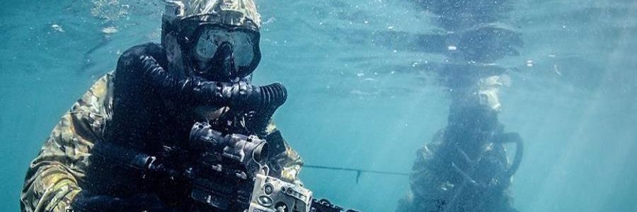 frogman banner