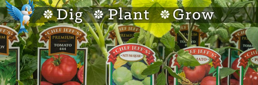 ShopSteins's profile banner image