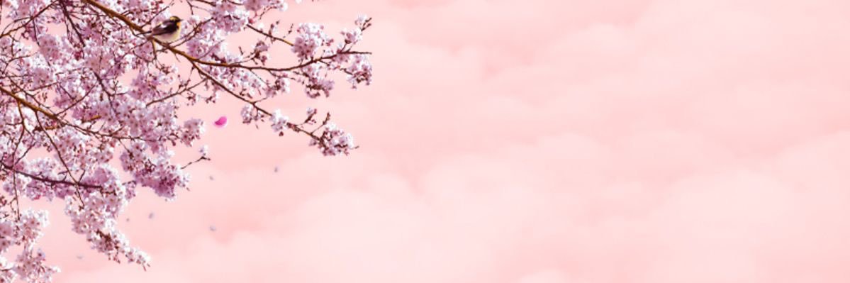 queenalisonn's profile banner image