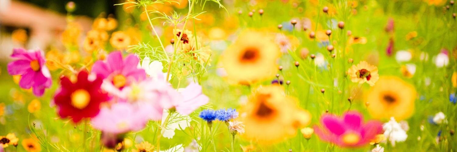 Meganne__'s profile banner image