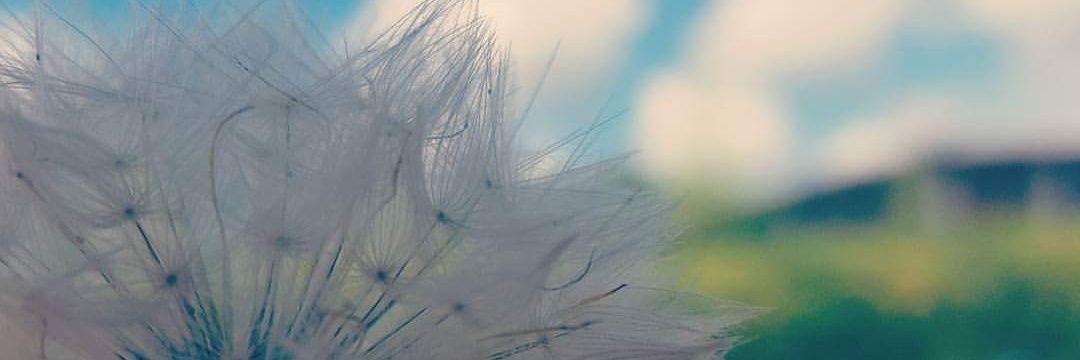 Lizth512's profile banner image