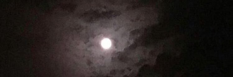 جود العتيبي banner