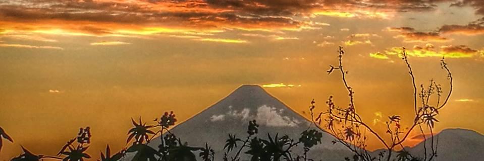mfeucht's profile banner image