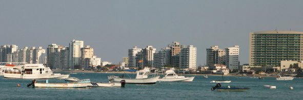 Joan Martínez banner