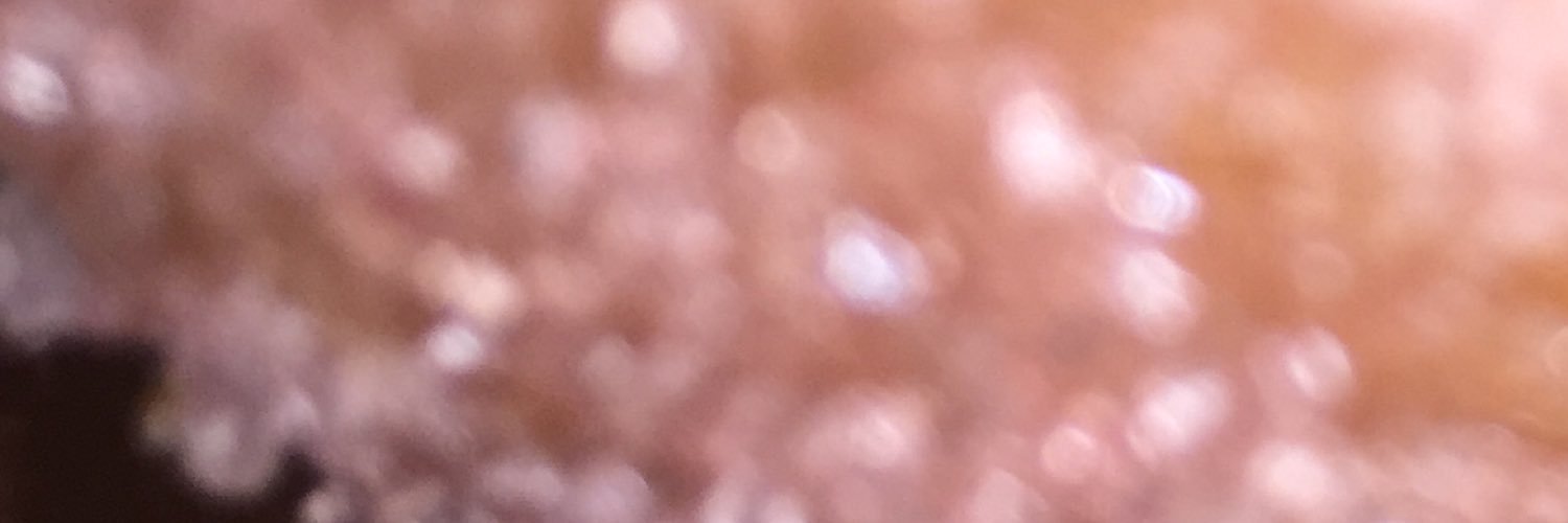 A___bieb_______'s profile banner image