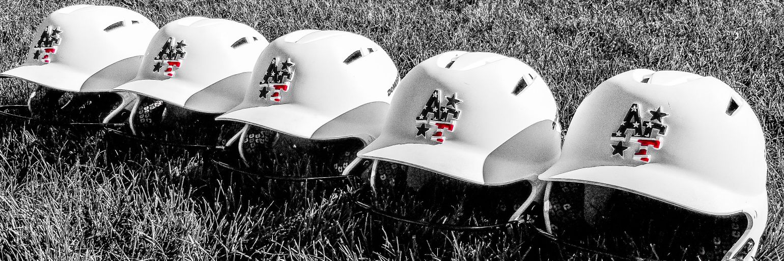 American Freedom Softball banner