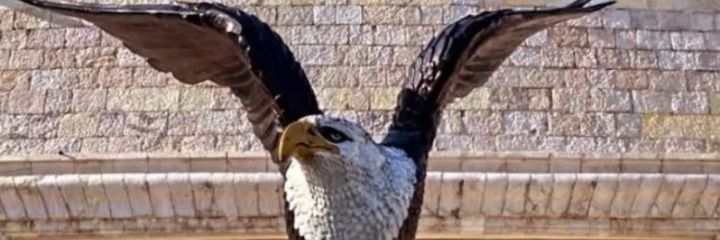 Stiryak1's profile banner image