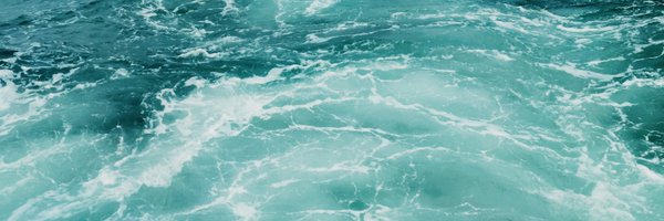 ChartreuseFox Profile Banner