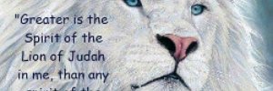 OnlyOneKissha's profile banner image