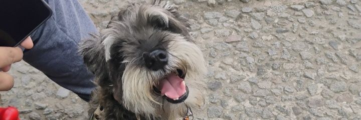 Mayeriz's profile banner image