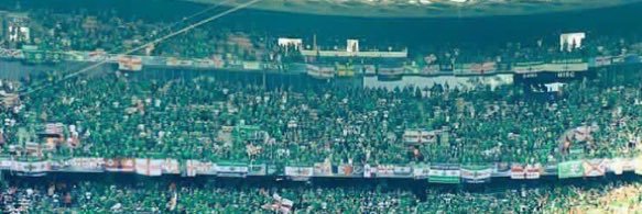 msmyth55's profile banner image