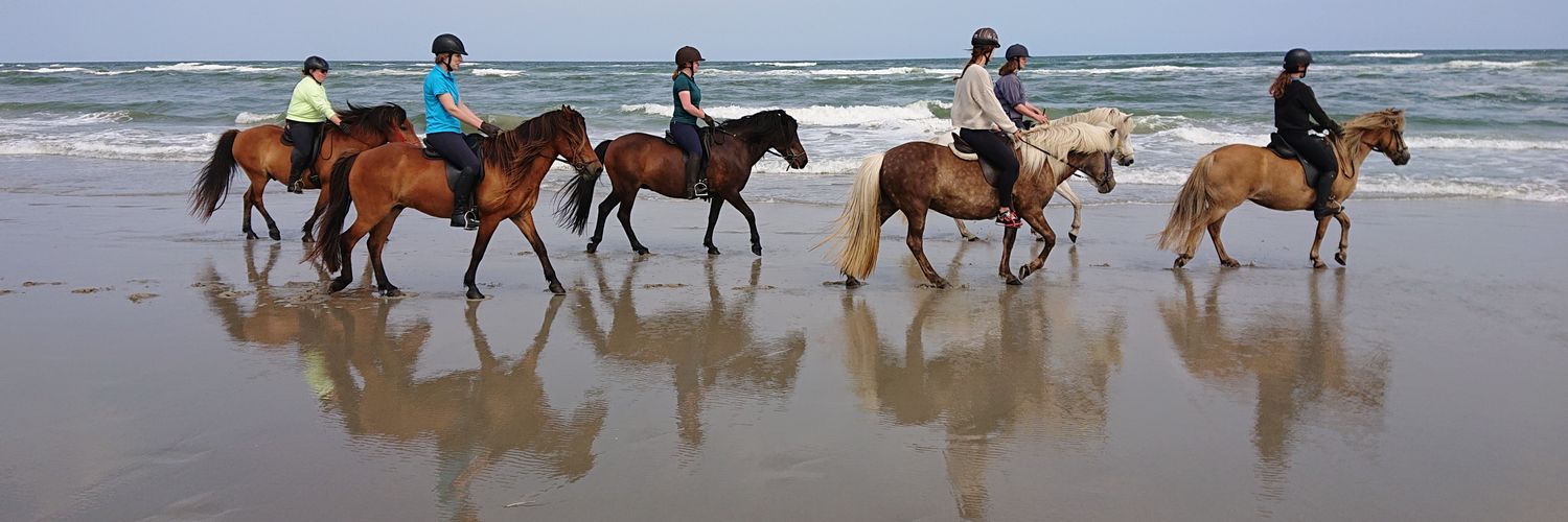Prairie Terschelling 🐎🌾 banner