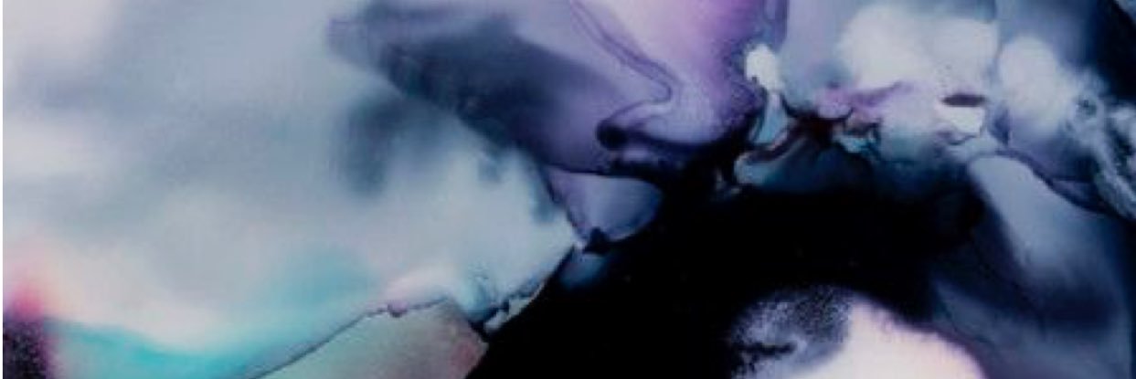 TaylorMHolly's profile banner image