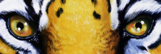 Sean R Wisner banner