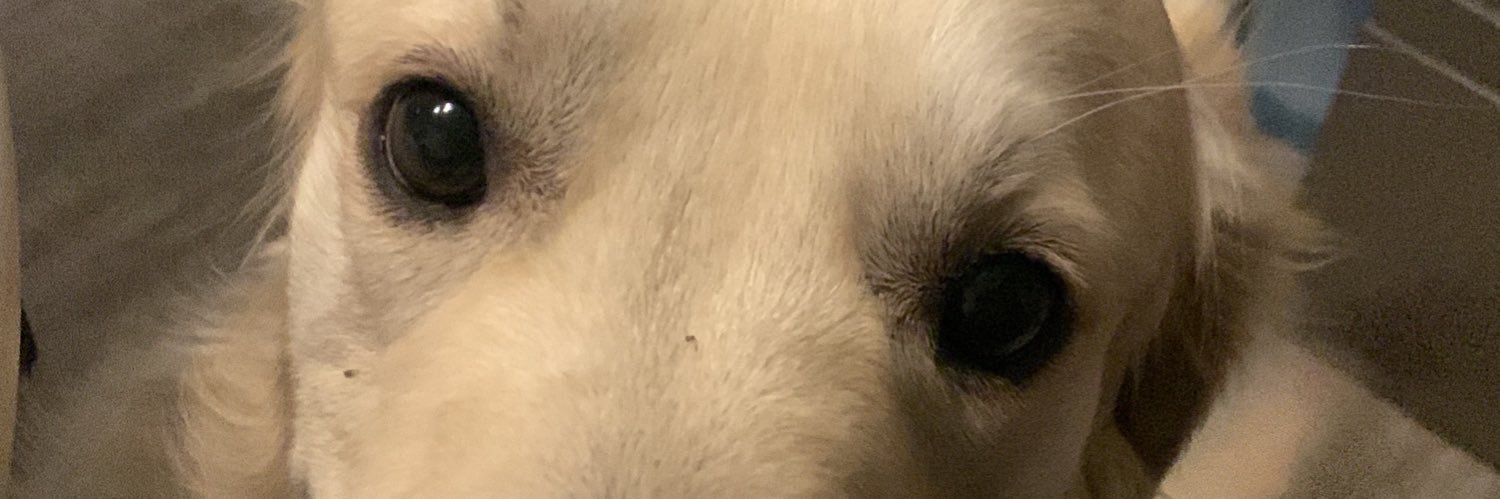 Victor. banner