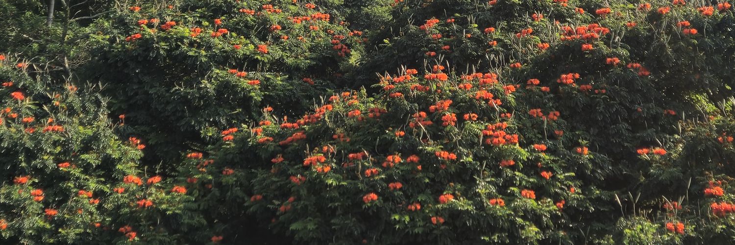 janitr_a's profile banner image