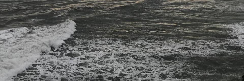kikifdlr's profile banner image