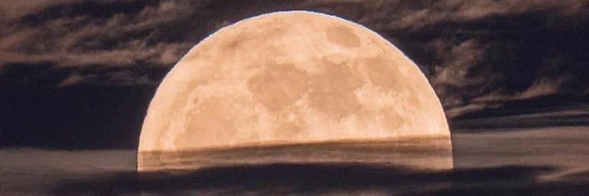 Larissaps22's profile banner image