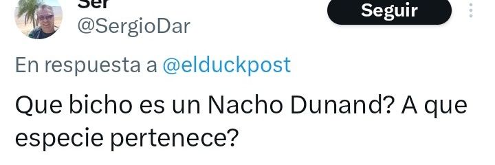 Ignacio Dunand banner