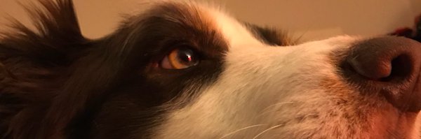 Shauntelleb Profile Banner