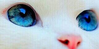 BarunaRizky's profile banner image