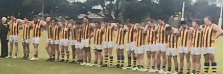 HamptonHammers's profile banner image