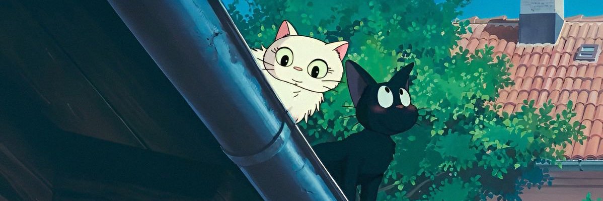𝑹𝒀𝑶 banner