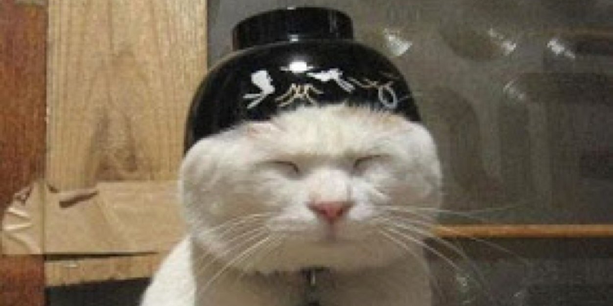 Mccookington's profile banner image