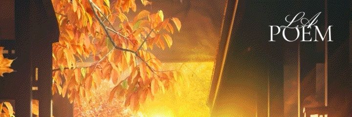 _Ji_Eun's profile banner image