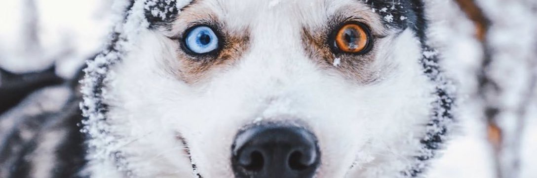 rocero's profile banner image