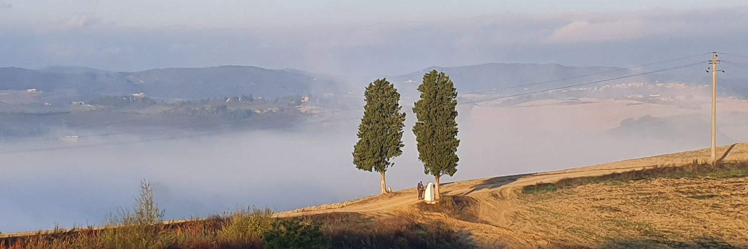 JeedeB's profile banner image