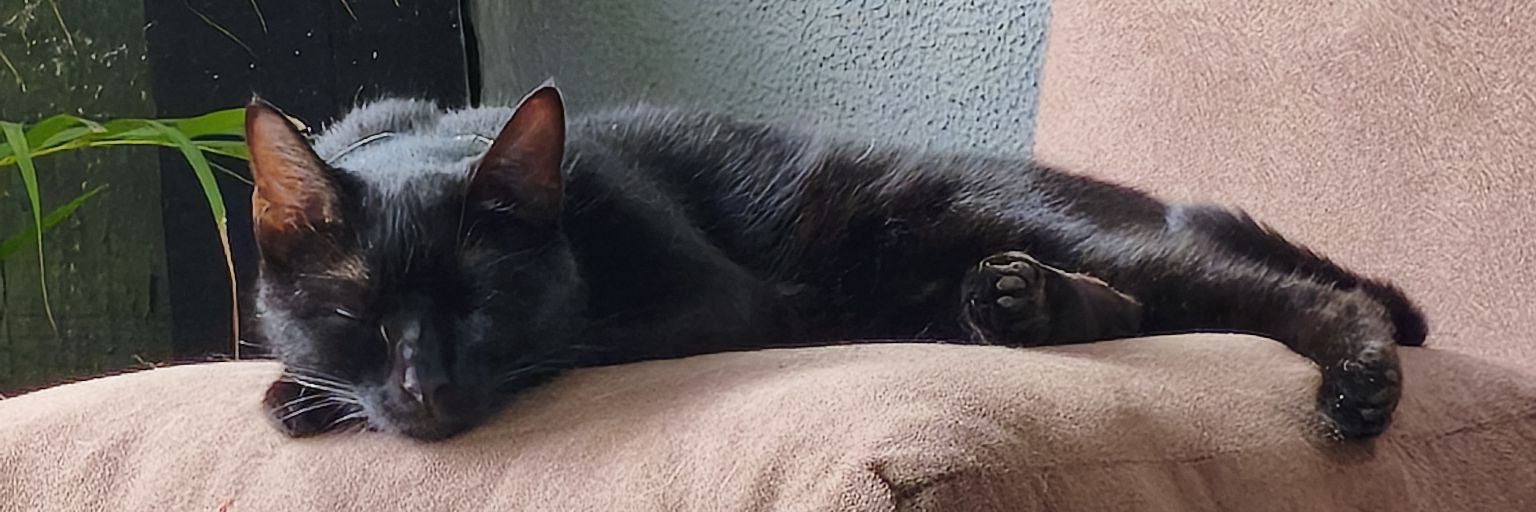 patroqueS2's profile banner image